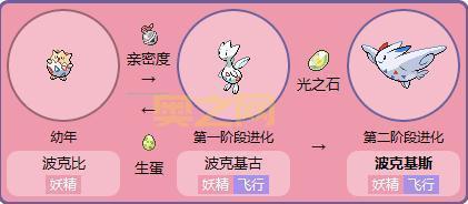 还在纠结波克比怎么进化啊?看完这篇你就懂了!