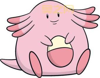 还在纠结波克比怎么进化啊?看完这篇你就懂了!