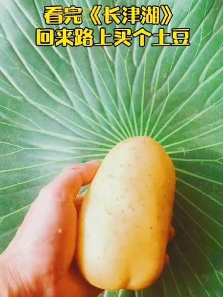 男子学吃冻土豆后拔3颗牙