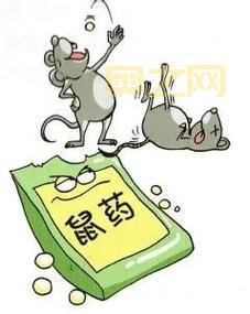 [毒鼠强成分解析：四亚甲基二砜四胺的致命毒性]