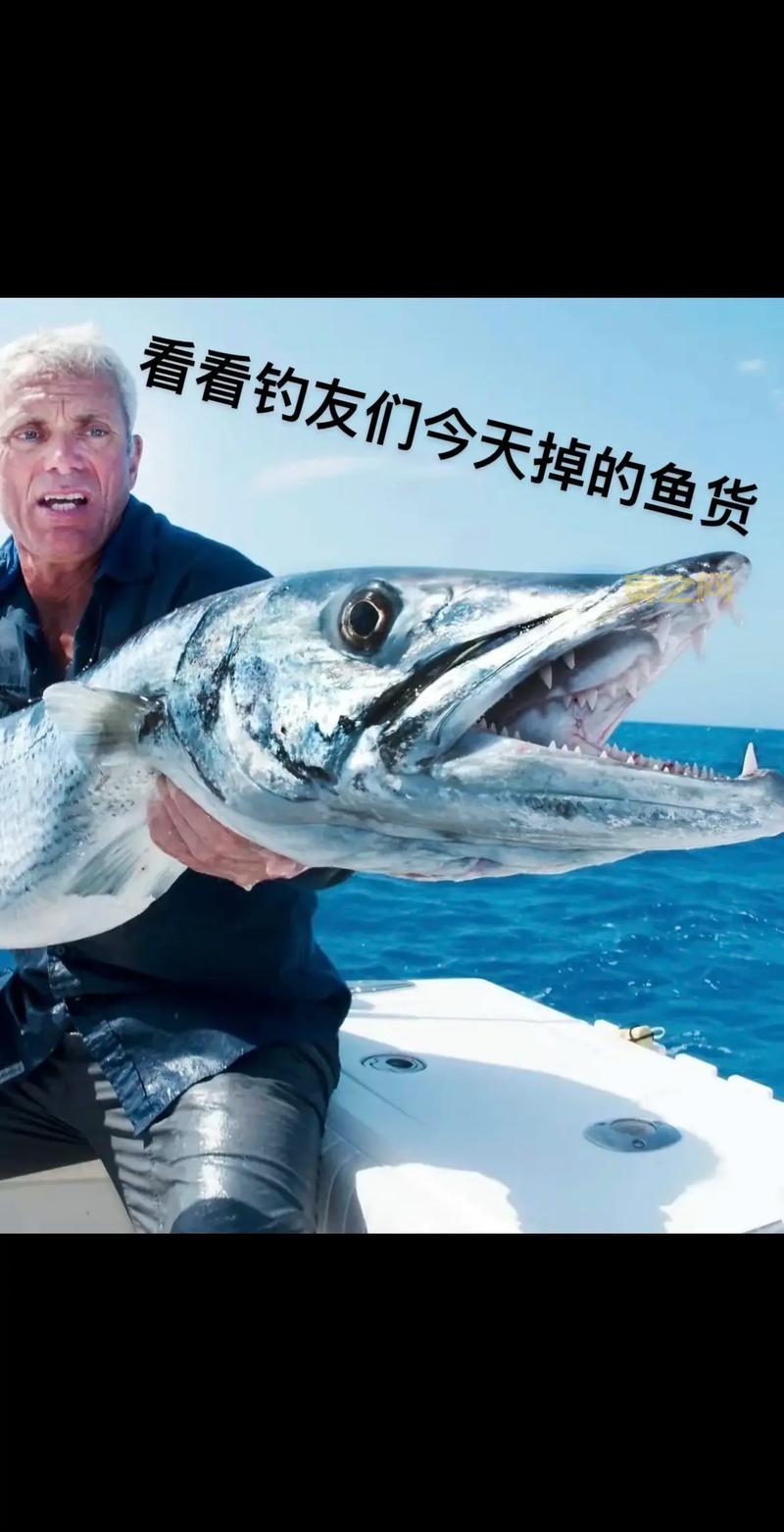 捕鱼达人技巧分享网