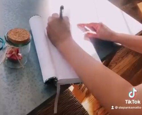 美女网红靠卖屁赚了130万 还因为屁太多进了医院