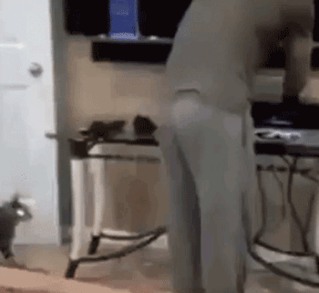 美女网红靠卖屁赚了130万 还因为屁太多进了医院