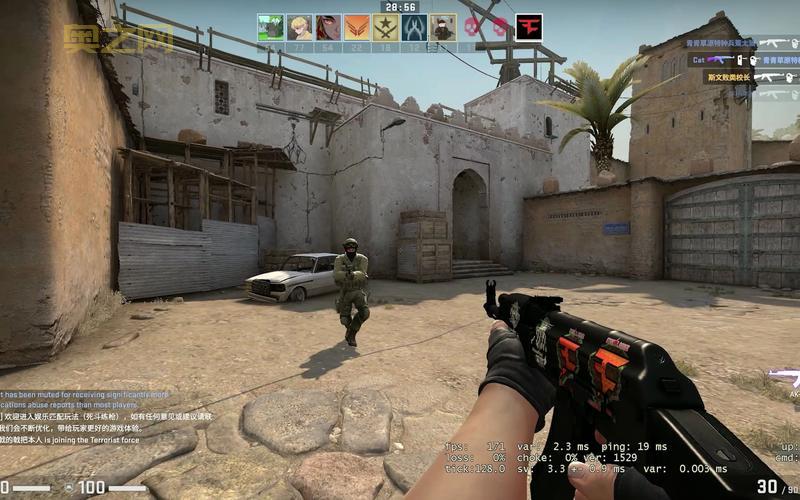 玩转反恐精英全球：如何在CS:GO中成为顶级玩家