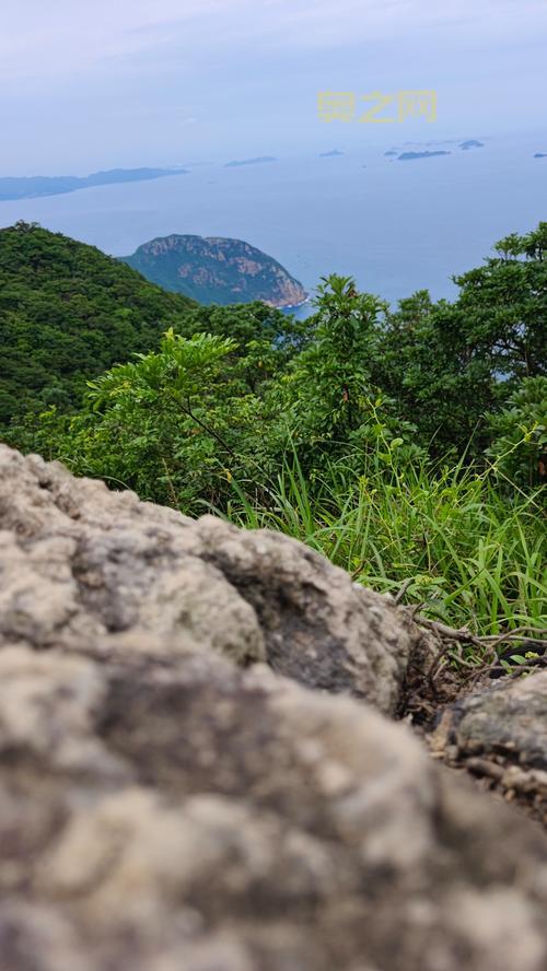 小白必看!魔兽世界孢子村声望开启详细步骤教学