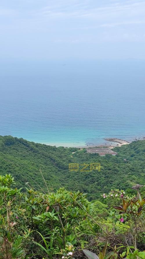 小白必看!魔兽世界孢子村声望开启详细步骤教学