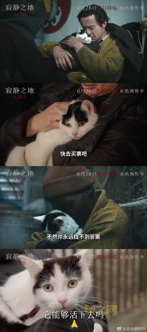 丧尸围城2剧情解析：弗兰克重回末日求生的惊险之旅