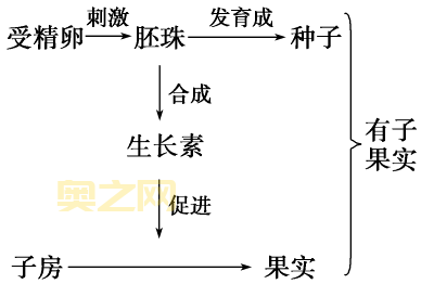 生长素类似物在农业中的应用与优势解析