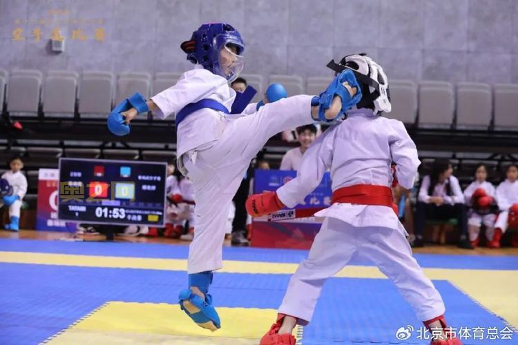 空手道少：勇敢少年挑战空手道冠军的故事