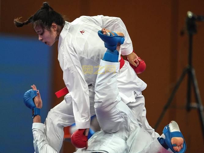 空手道少：勇敢少年挑战空手道冠军的故事