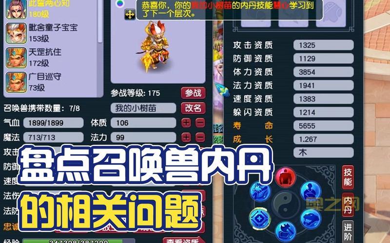 想知道梦幻西游高级内丹价格？这篇文章告诉你！