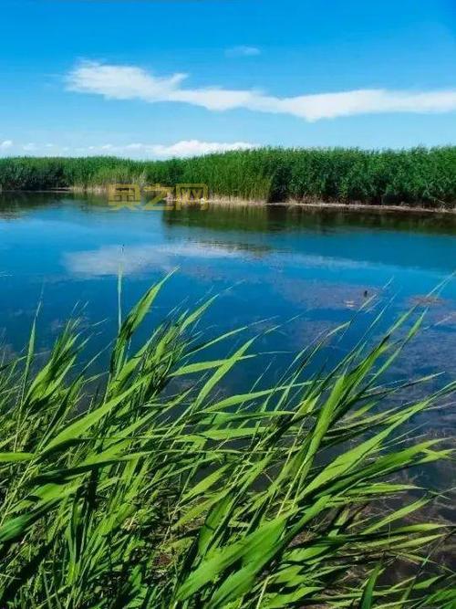 CSGO国服公测开启：完美体验与丰厚福利等你来战！