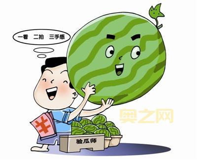 月入3万的验瓜师：如何在西瓜之乡快速辨别好瓜