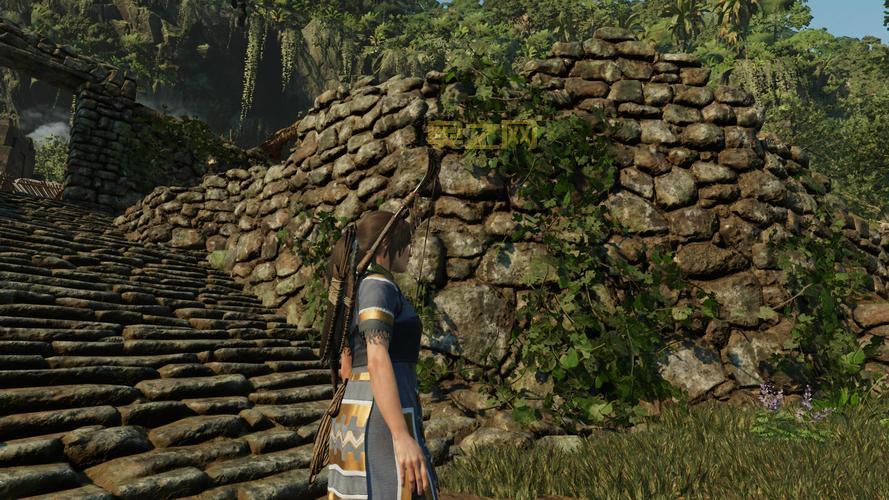 古墓丽影5游戏配置要求高吗？你的电脑能玩吗