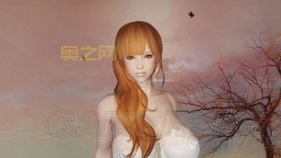 上古卷轴5捏脸数据大全：最佳角色外观设置