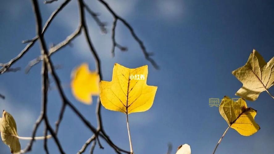 渐渐的忘记与时间流逝的思考