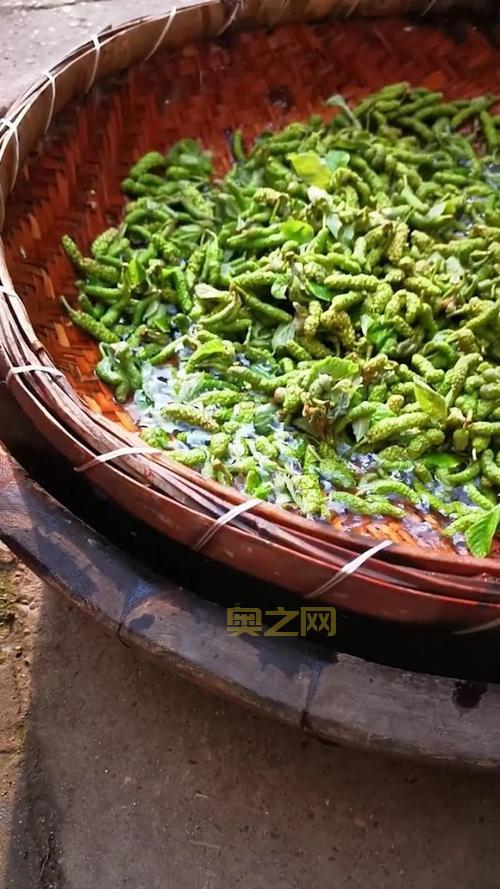 构树穗的吃法大全：春季美味的多样做法