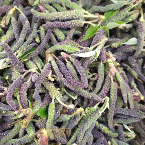 构树穗的吃法大全：春季美味的多样做法