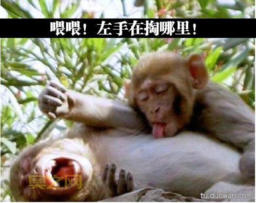 猴子一秒三棒口诀是真的吗？大神教你玩转猴子！