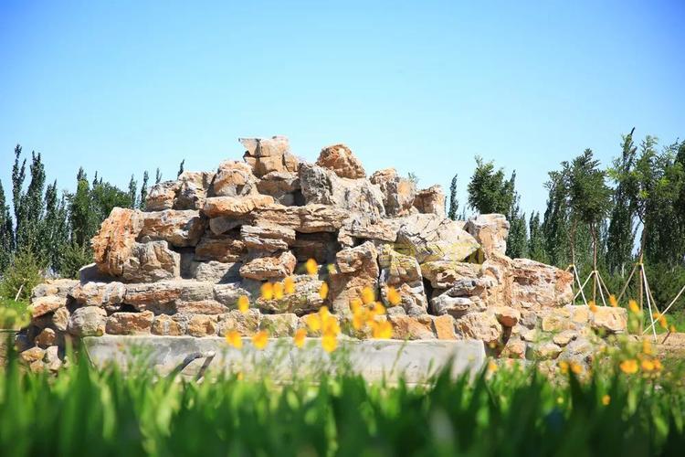 玩转小小阿狸:打造你的美丽家园与精兵强将