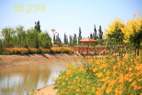 玩转小小阿狸:打造你的美丽家园与精兵强将