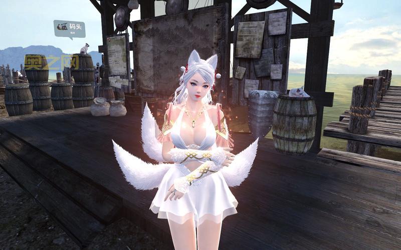 洛奇英雄传内衣补丁安装教程及注意事项