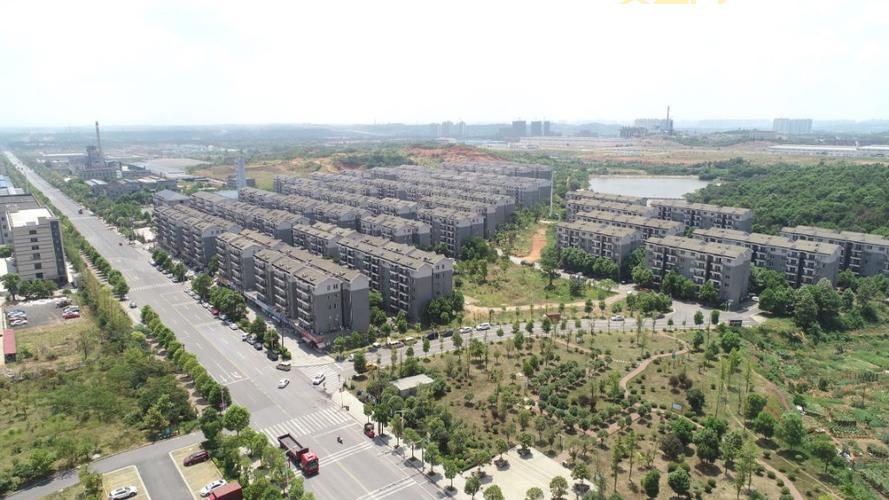 松木的力量：探索松木在现代建筑中的应用与挑战