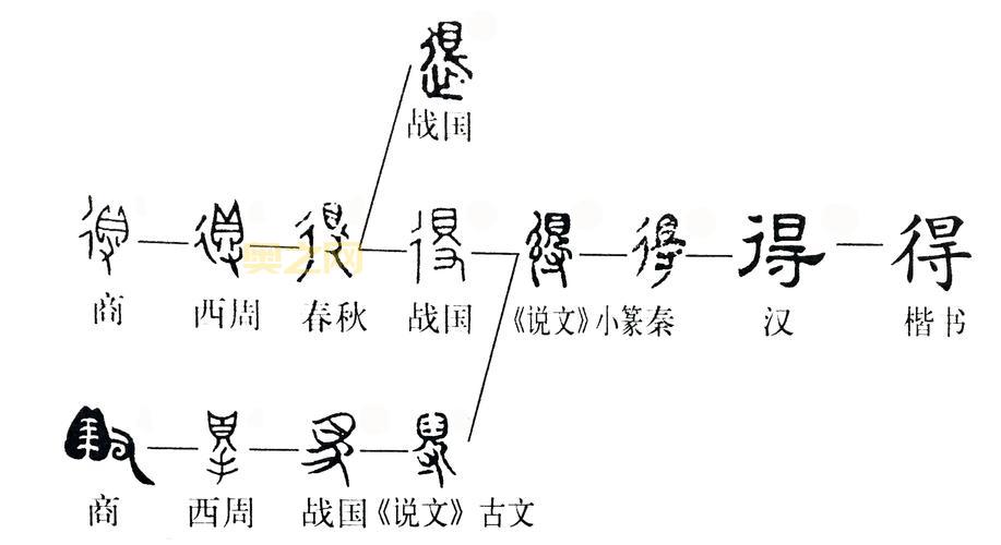 网字的含义与应用：从渔网到互联网全解析