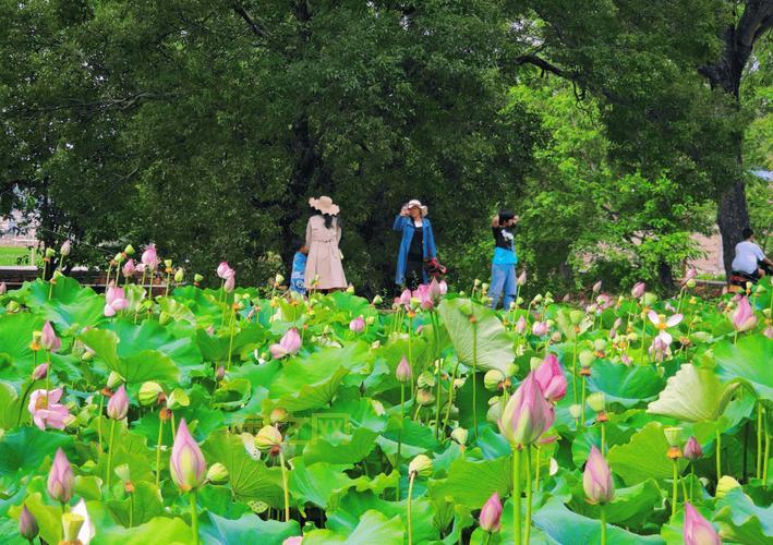 英雄战迹手游下载与激活码领取，开启英雄之旅