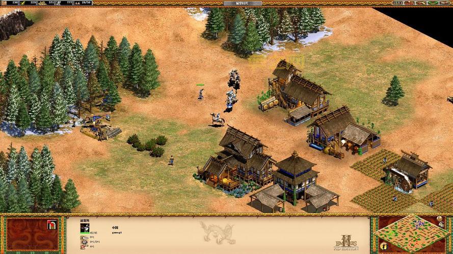 帝国2决定版秘籍大全(新手必看通关秘籍)