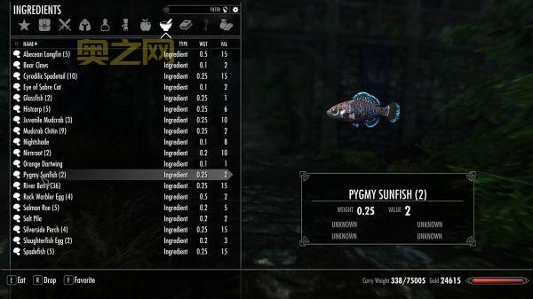 上古卷轴5游民新手入门指南：快速上手技巧与职业选择