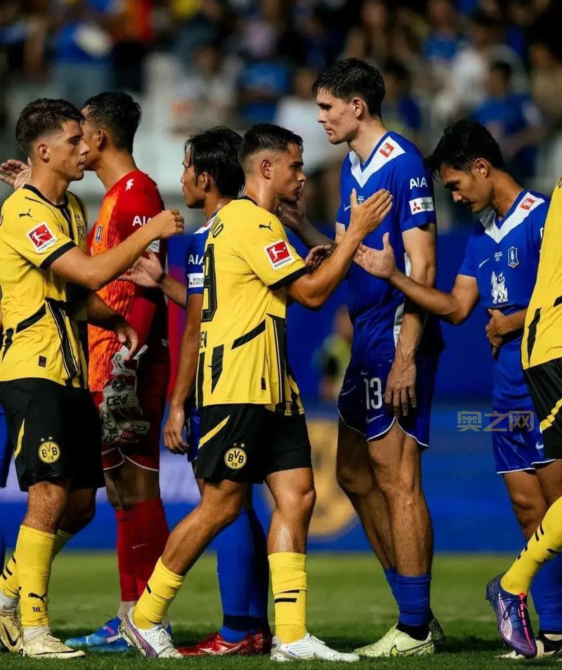 皇家骑士团全方位攻略：提升战力与制胜秘诀