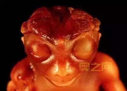 旅行青蛙恐怖图片吓坏宝宝，慎点！