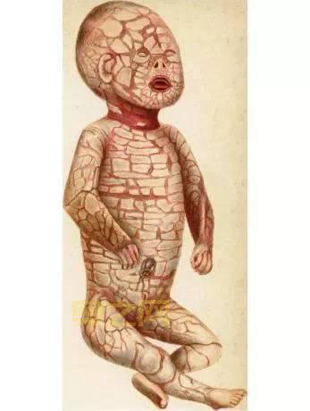 旅行青蛙恐怖图片吓坏宝宝，慎点！