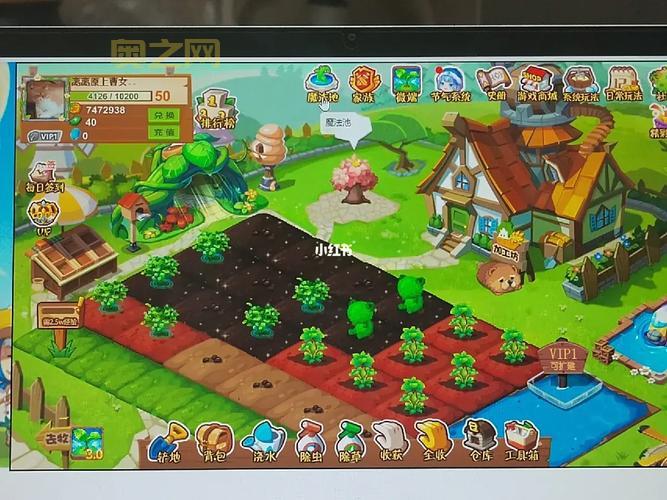 QQ偷菜三合一游戏攻略：让你偷菜无忧