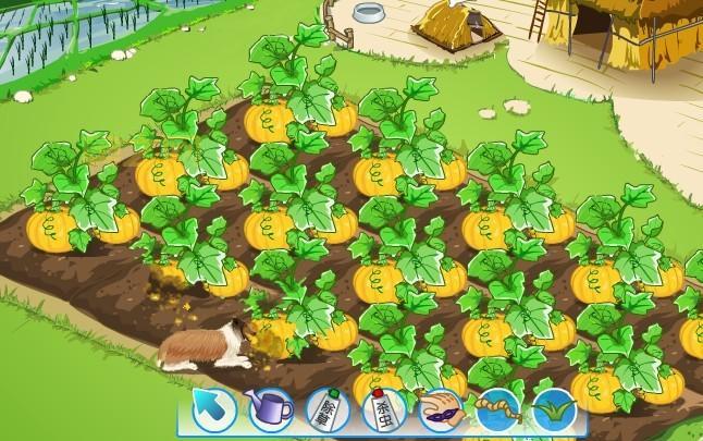 QQ偷菜三合一游戏攻略：让你偷菜无忧