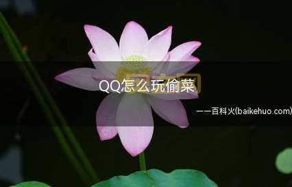 QQ偷菜三合一游戏攻略：让你偷菜无忧