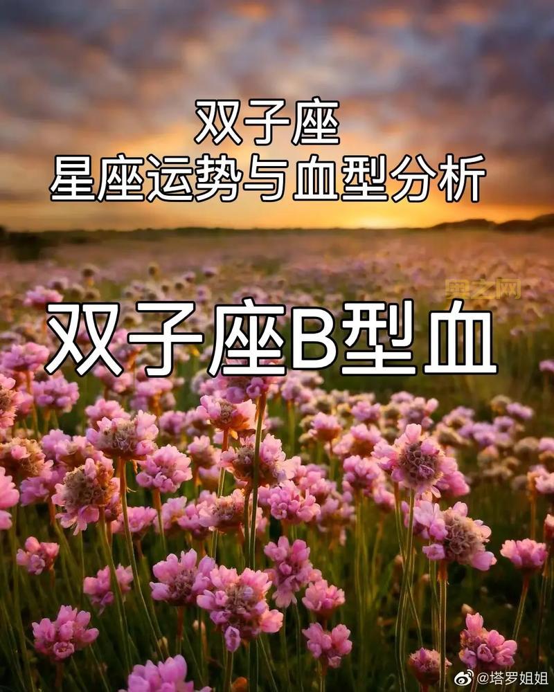 双子星座2如何快速赚到第一桶金？详细图文攻略