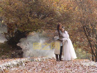 神雕侠侣绝情谷：杨过与小龙女的爱恨情仇