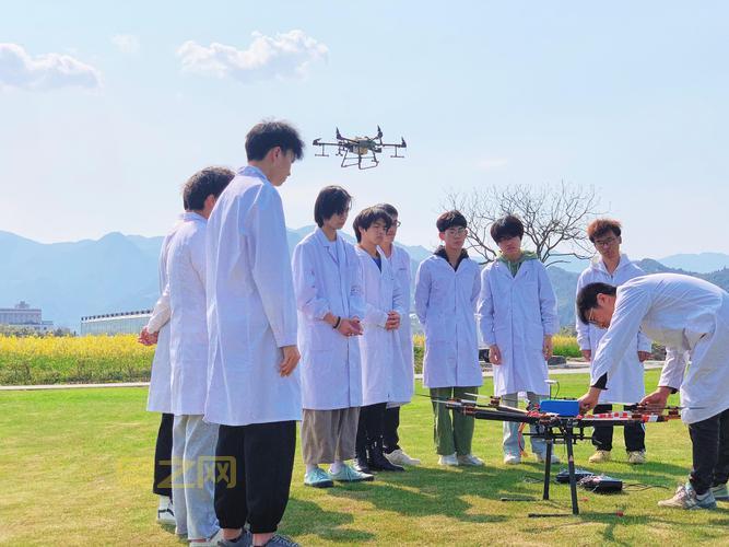 小鱼人路人局很猛，为啥职业比赛没人用呢？