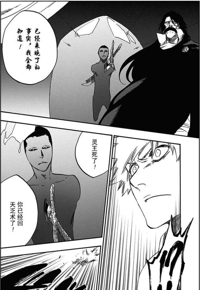 死神灵王本质 灭却师灵王起源 虚圈灵王作用_死神心有灵犀