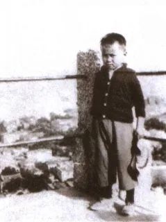 杨振宁厦门大学童年经历_杨振宁 杨武之_杨振宁感动中国2021年度人物