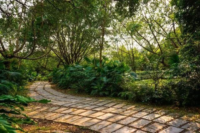 广西大学新闻传播学院新闻学硕士点_新闻与传播学考研学校_广西大学新闻传播学院专业介绍