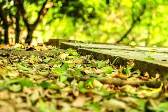 广西大学新闻传播学院新闻学硕士点_新闻与传播学考研学校_广西大学新闻传播学院专业介绍