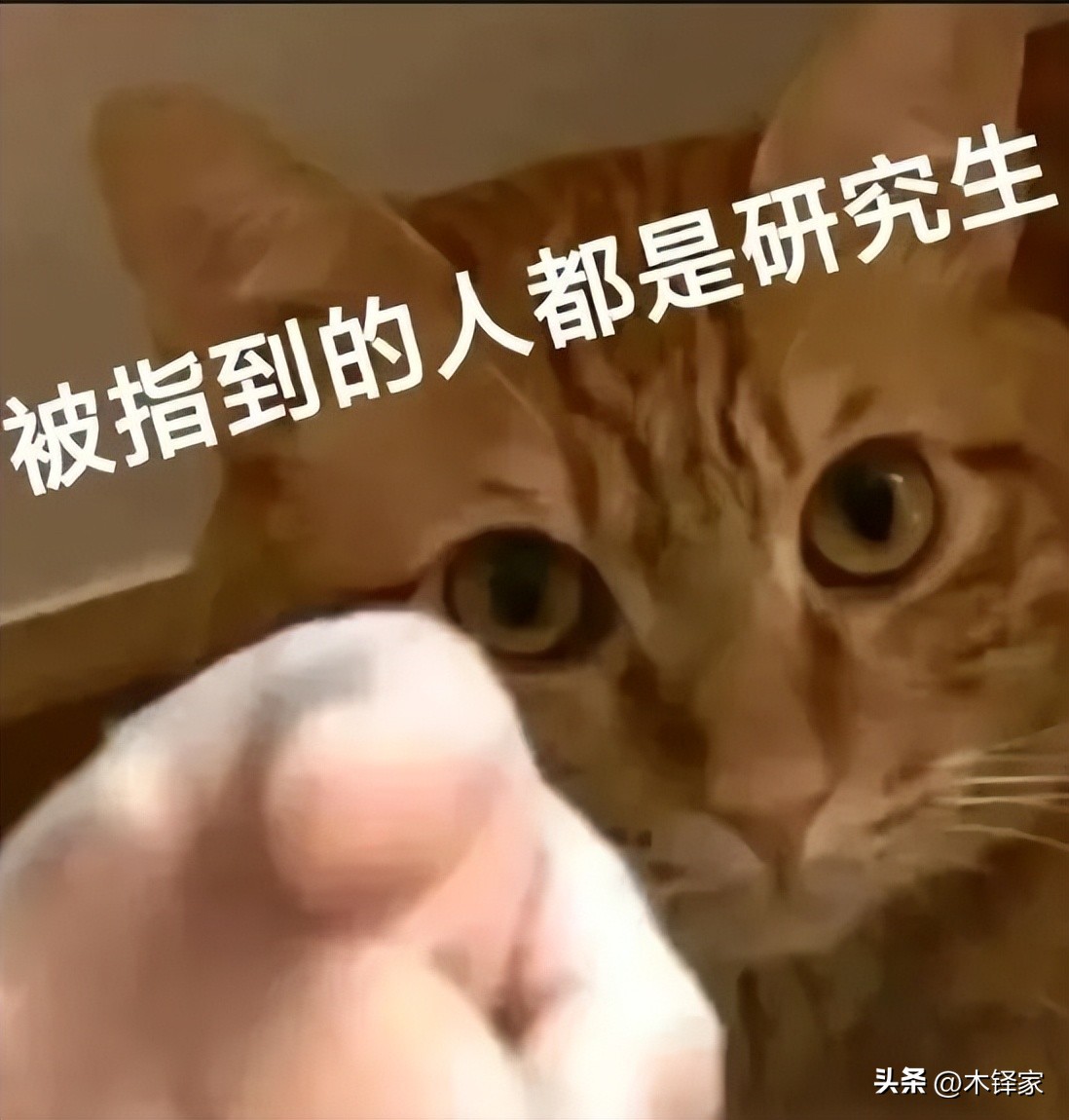 新传考研真题参考书课后题占比_新传考研真题基础院校_新闻与传播学考研学校