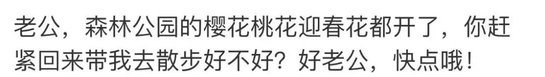 马航MH370家属不放弃寻找_马航失联7周年家属坚守希望_马航英语新闻