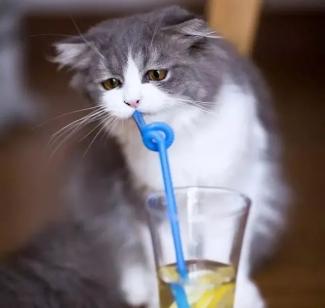 马德堡半球实验原理_漏斗吹蜡烛吹不灭的原理_气压小实验