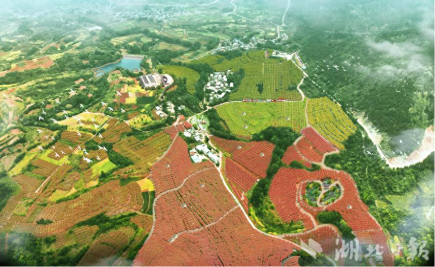 郧阳区A级景区型村庄创建_湖北十堰郧县刘洞新闻_统筹配置空间资金产业组织要素