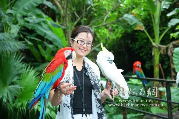 央视才女张泉灵病退_张泉灵的演讲稿_央视女主播张泉灵离职