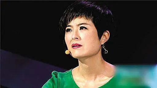 央视女主播张泉灵离职_央视才女张泉灵病退_张泉灵的演讲稿